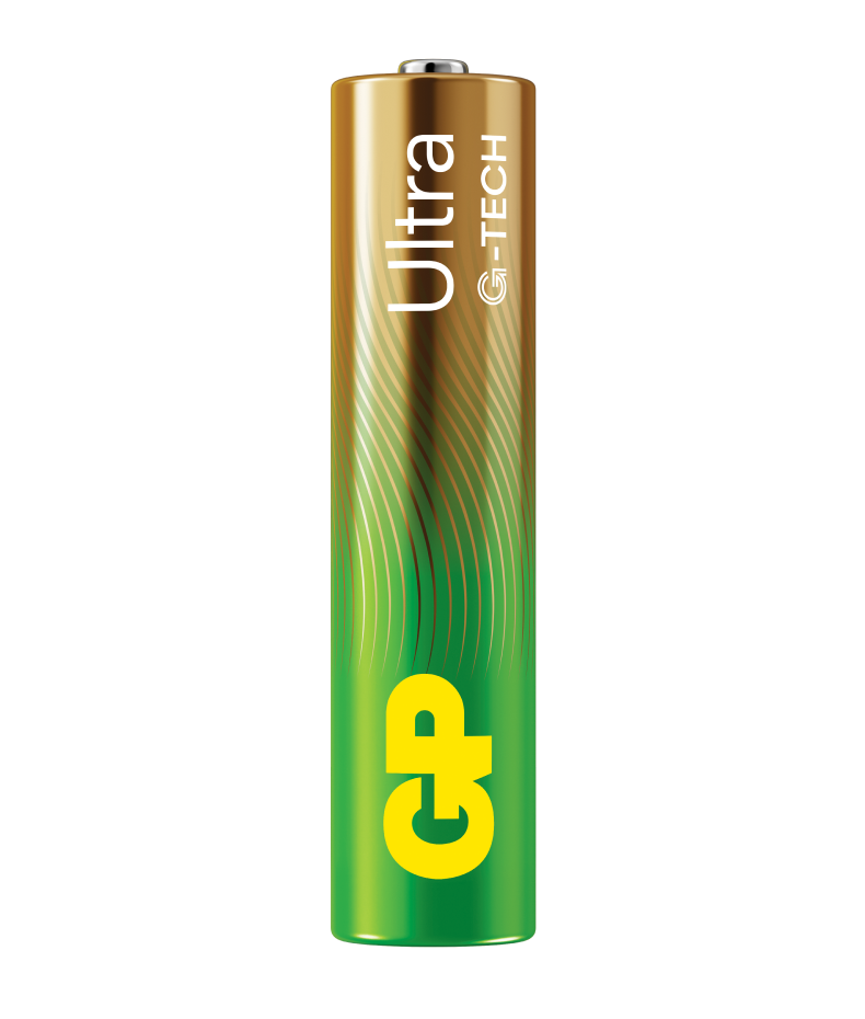 GP Batteries GPRCKCHE411557 Chargeur de piles rondes NiMH LR03 (AAA), LR6  (AA)